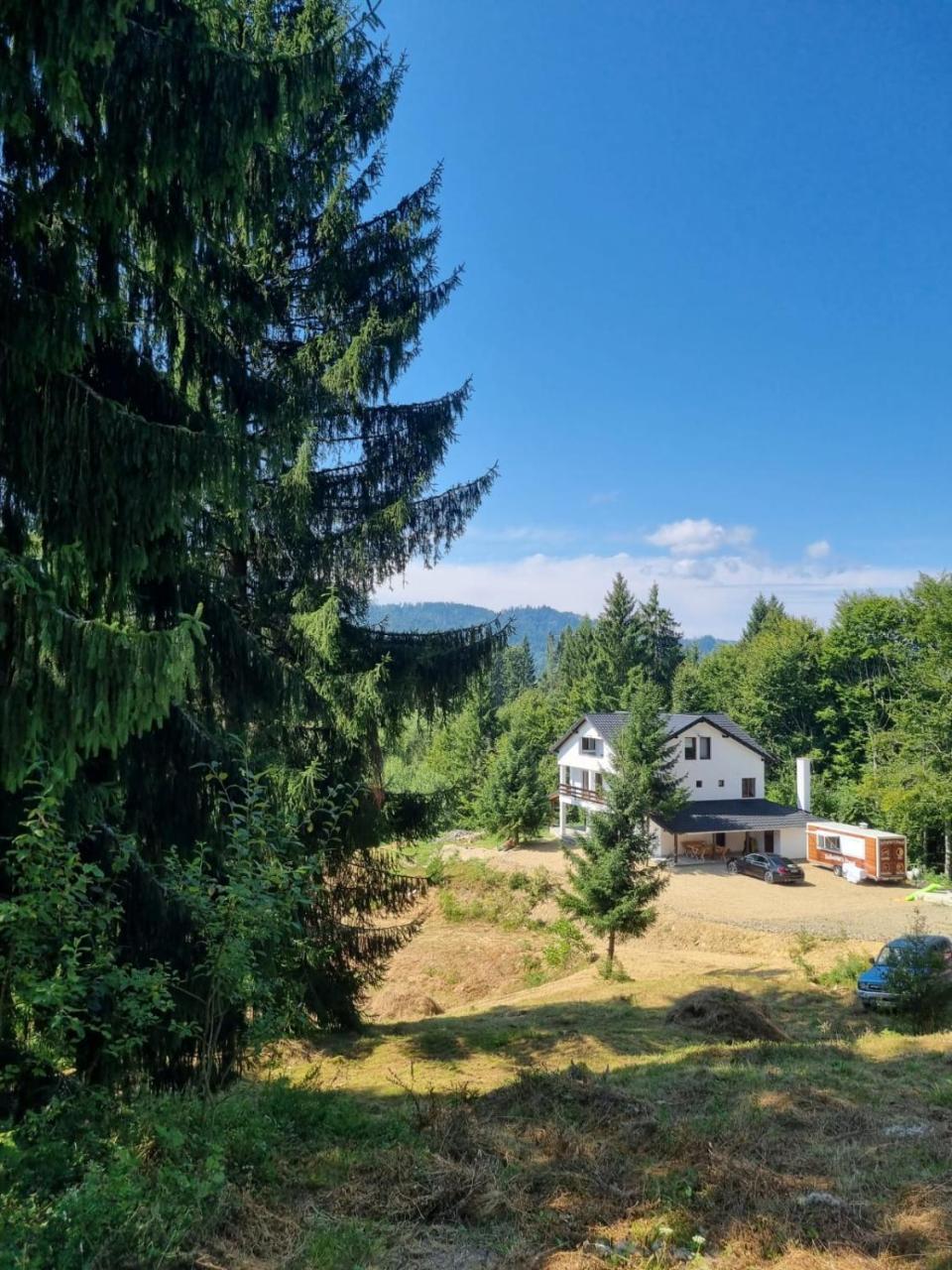 Cabana de Inchiriat La Colibita