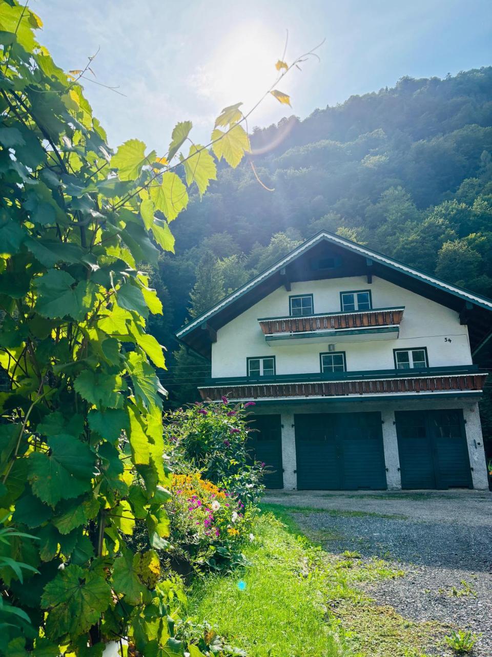 Ferienwohnung Langfeld