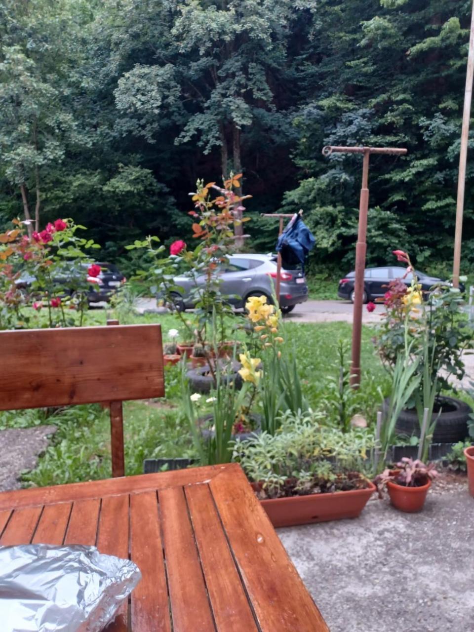 Apartament Slanic Moldova