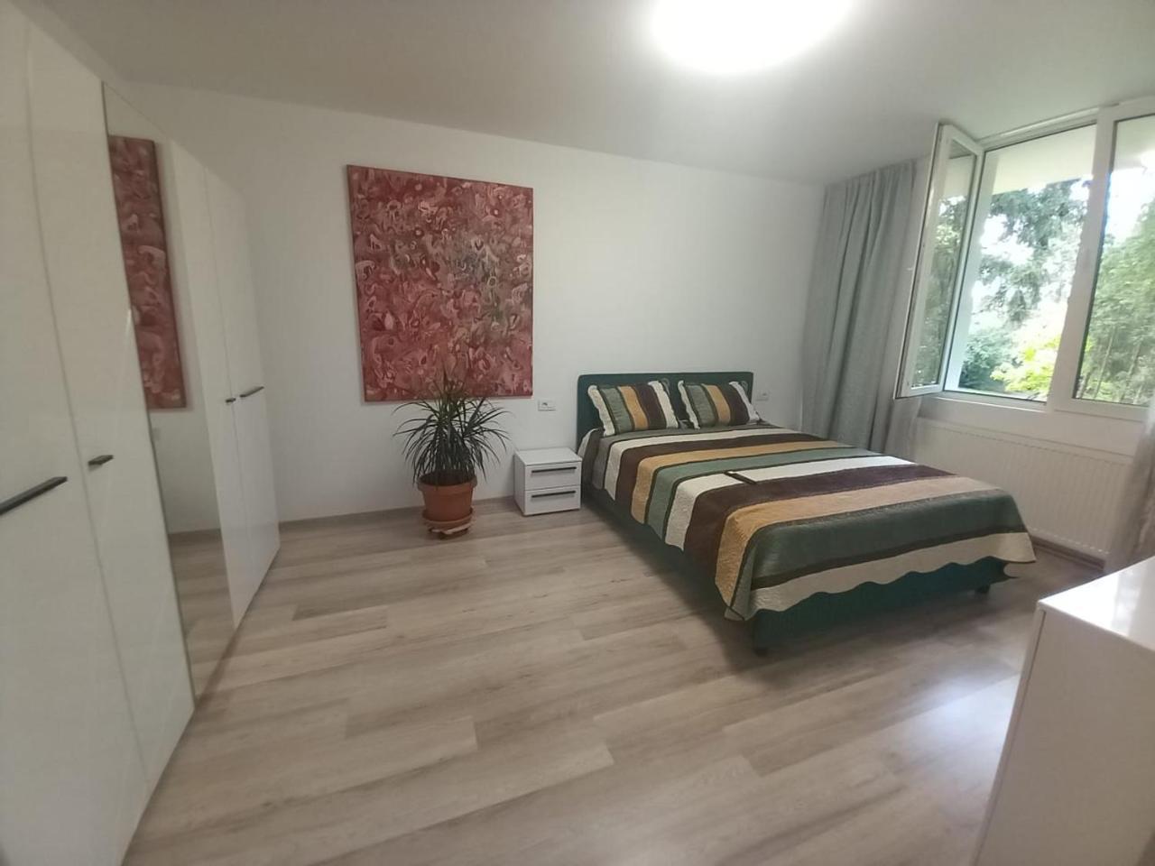 Casa Din Parc