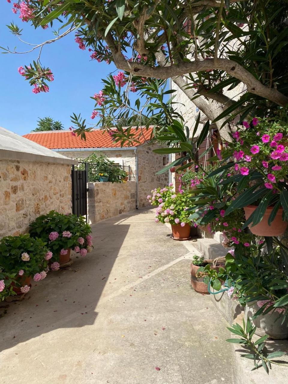 Villa Rosa, Dracevica 46a, Brac