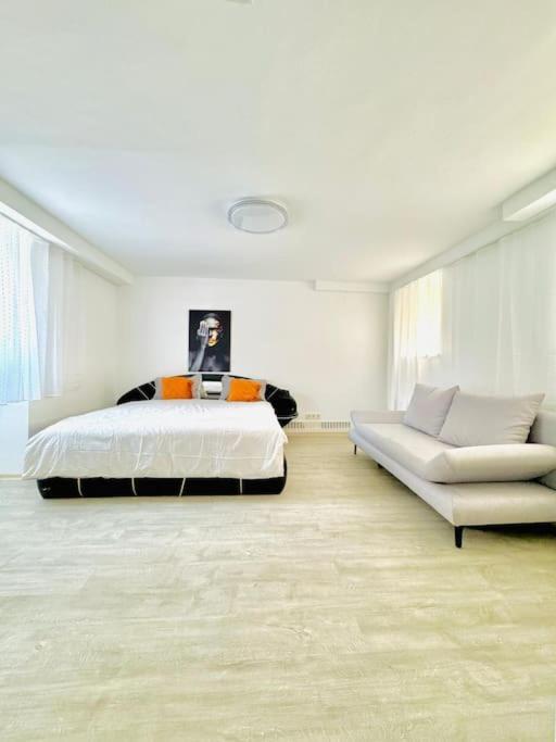 Very Spacious Apartment For Up To 7p With Great Location