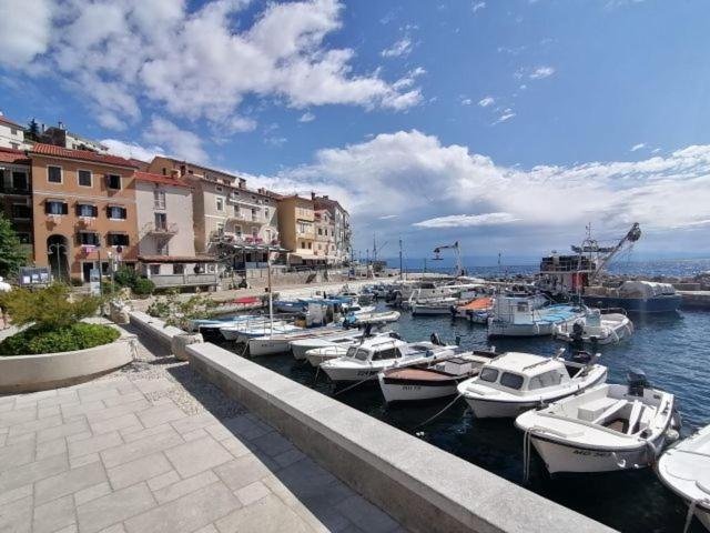 Apartment Antea-opatija Riviera