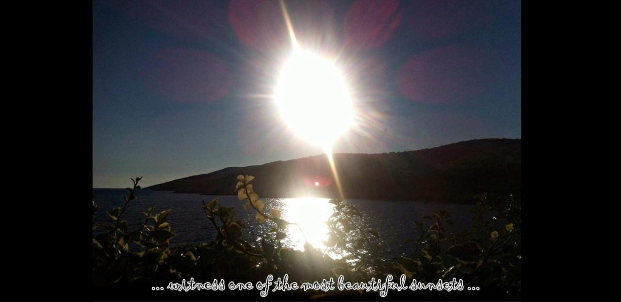 Studio Apartment Mojmir