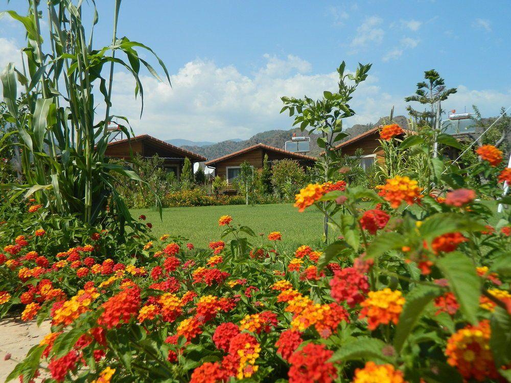 Ruya Villen Park