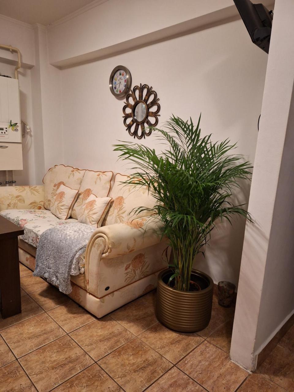 Apartament Florina