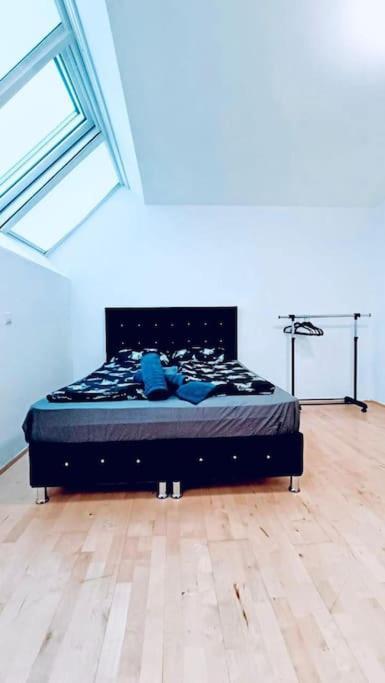 Beautifull 2 Level 2br & 1lr Apt In Central Location
