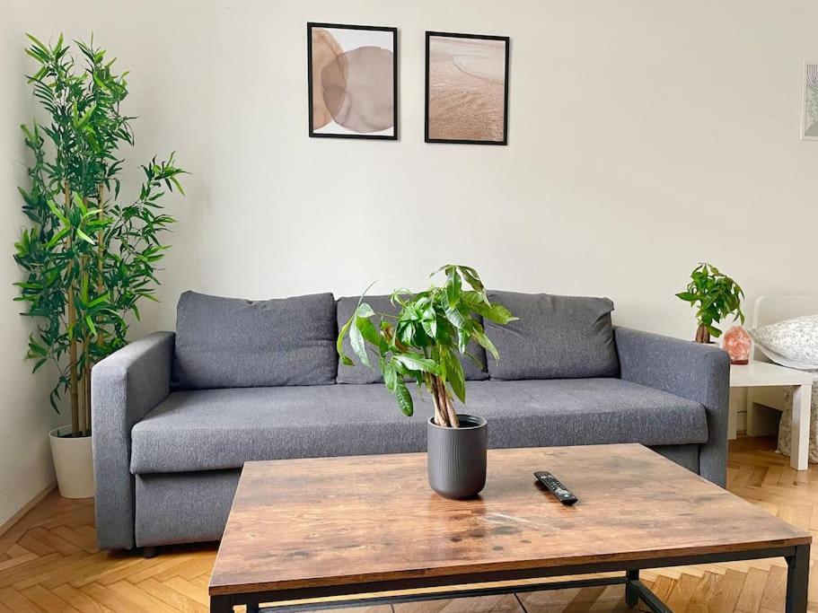 55 M2 Stylish Central Apartment