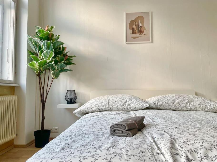 110 M2 Sunny & Central Apartment