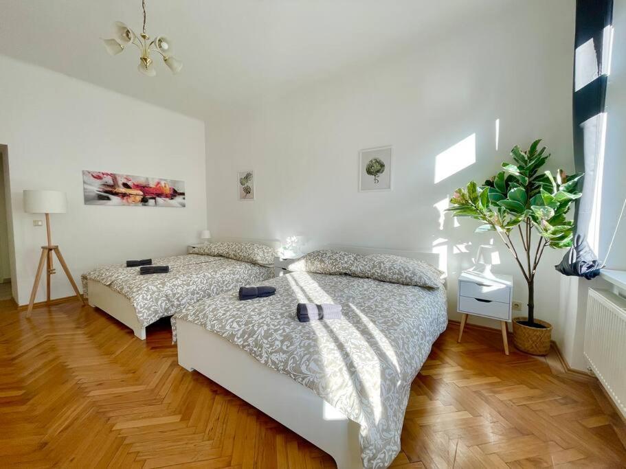 45 M2 Sunny & Calm Stylish Flat