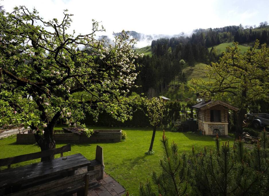 Heimathaus Hettegger Neue Gemutliche Ferienwohnung
