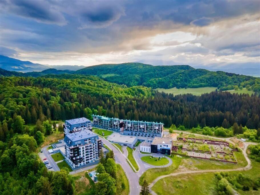 Silver Mountain, Poiana Brasov Forest Crib
