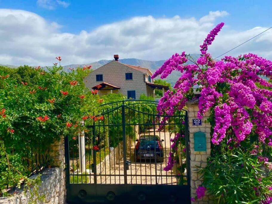 Villa Adriana Zupa Dubrovacka Dubrovnik