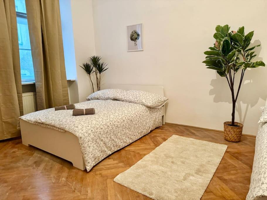 Calm & Quiet Apartment With Free Parking