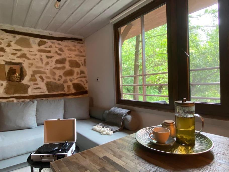 Beautiful Villa In The Rodopi Mountains