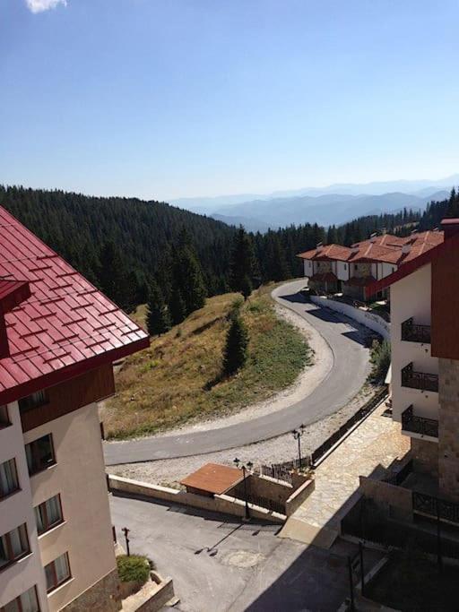 Ski Holiday In Lucky Pamporovo