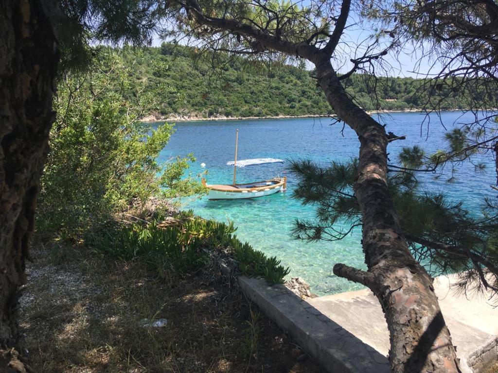 Hamo Apartments & Soba