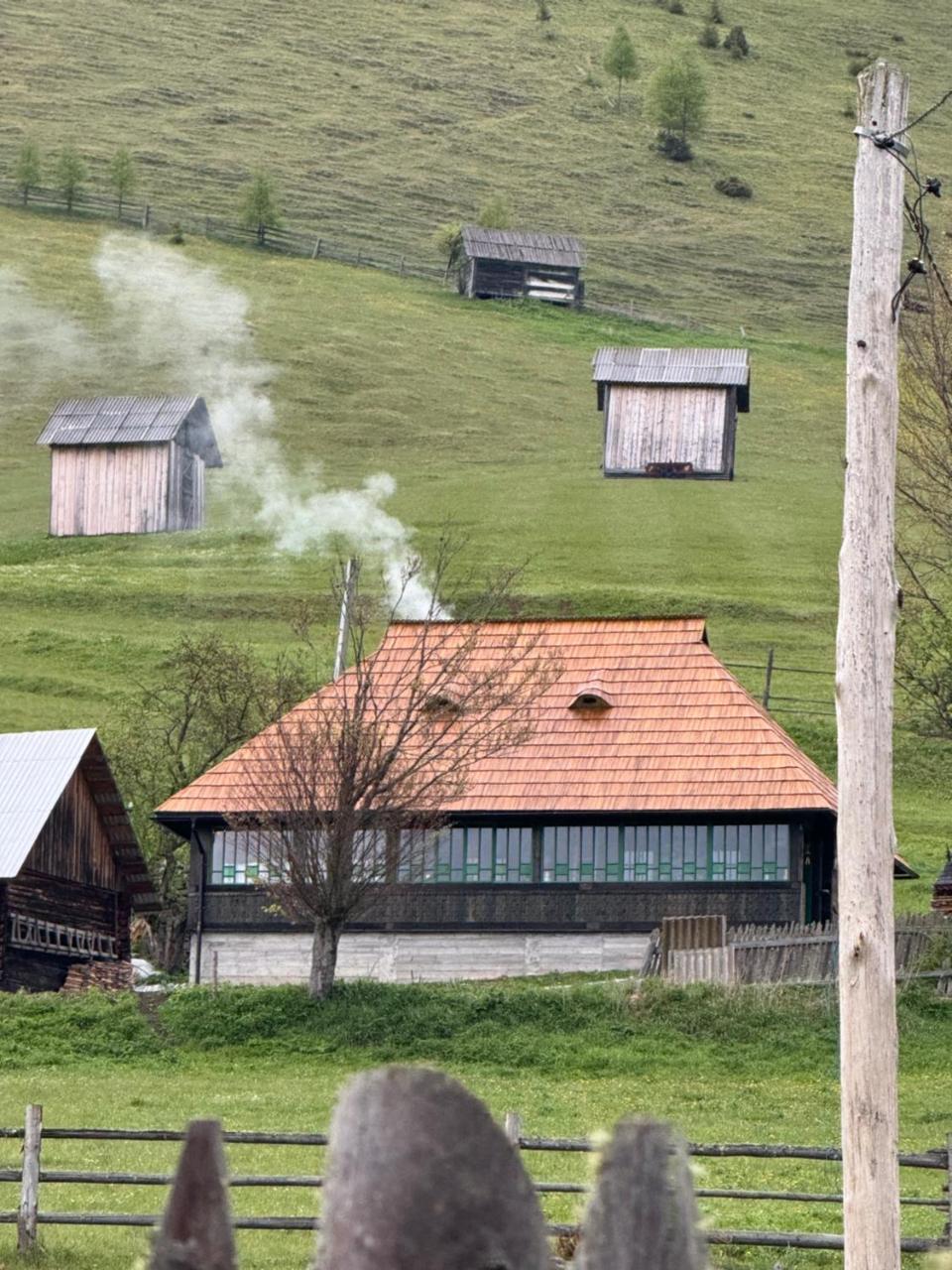 Casa Viorica Pleta