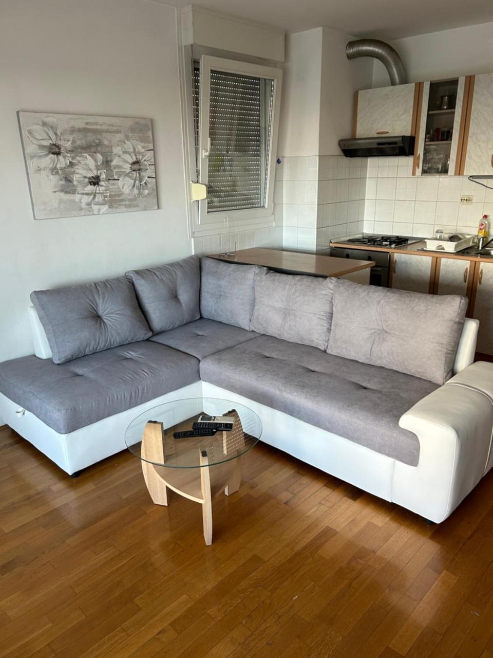 Urban Apartment Sonya