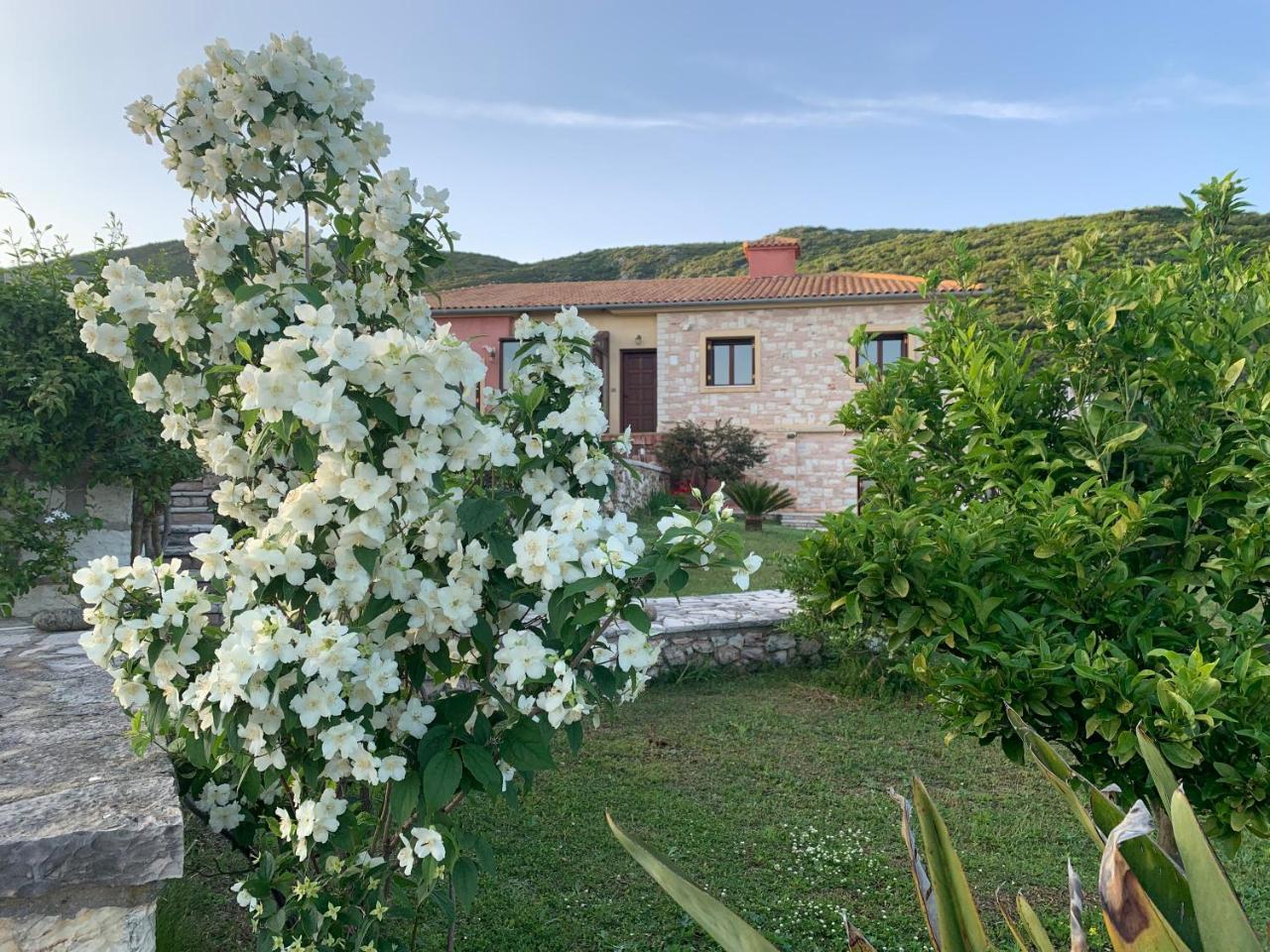 Iris Bioclimatic House