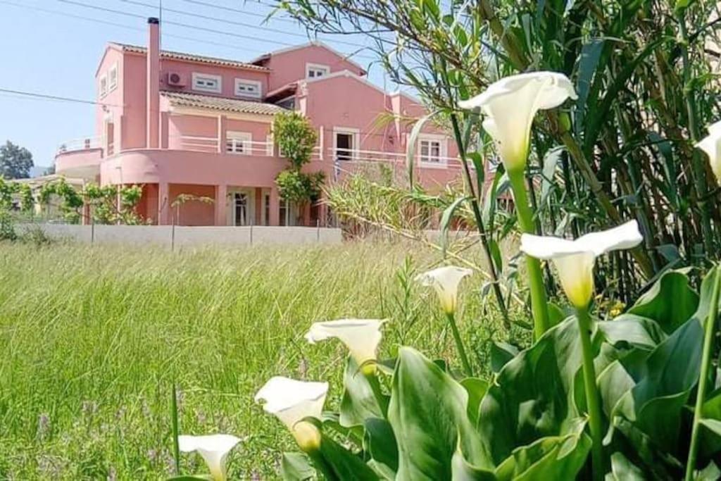 Private Villa Akobara, 2km From City Center
