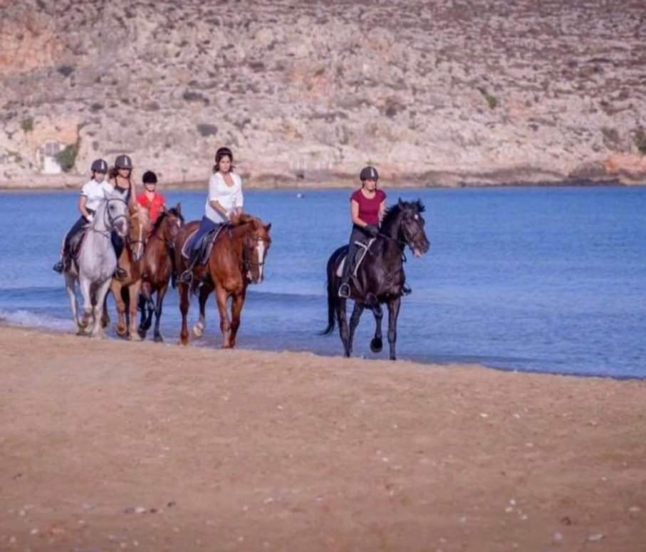 Amnisiades Apartments