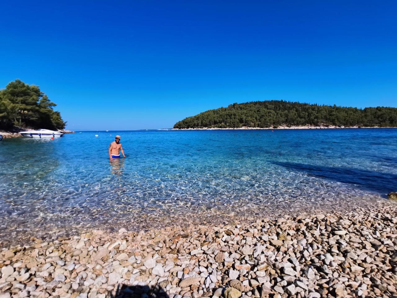 Tina's Holiday House