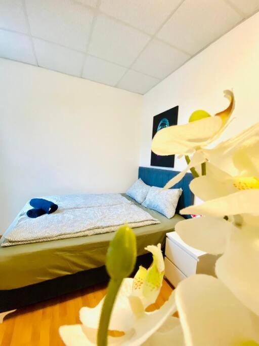 Bright & Spacious 3br Apt With Direct City Access