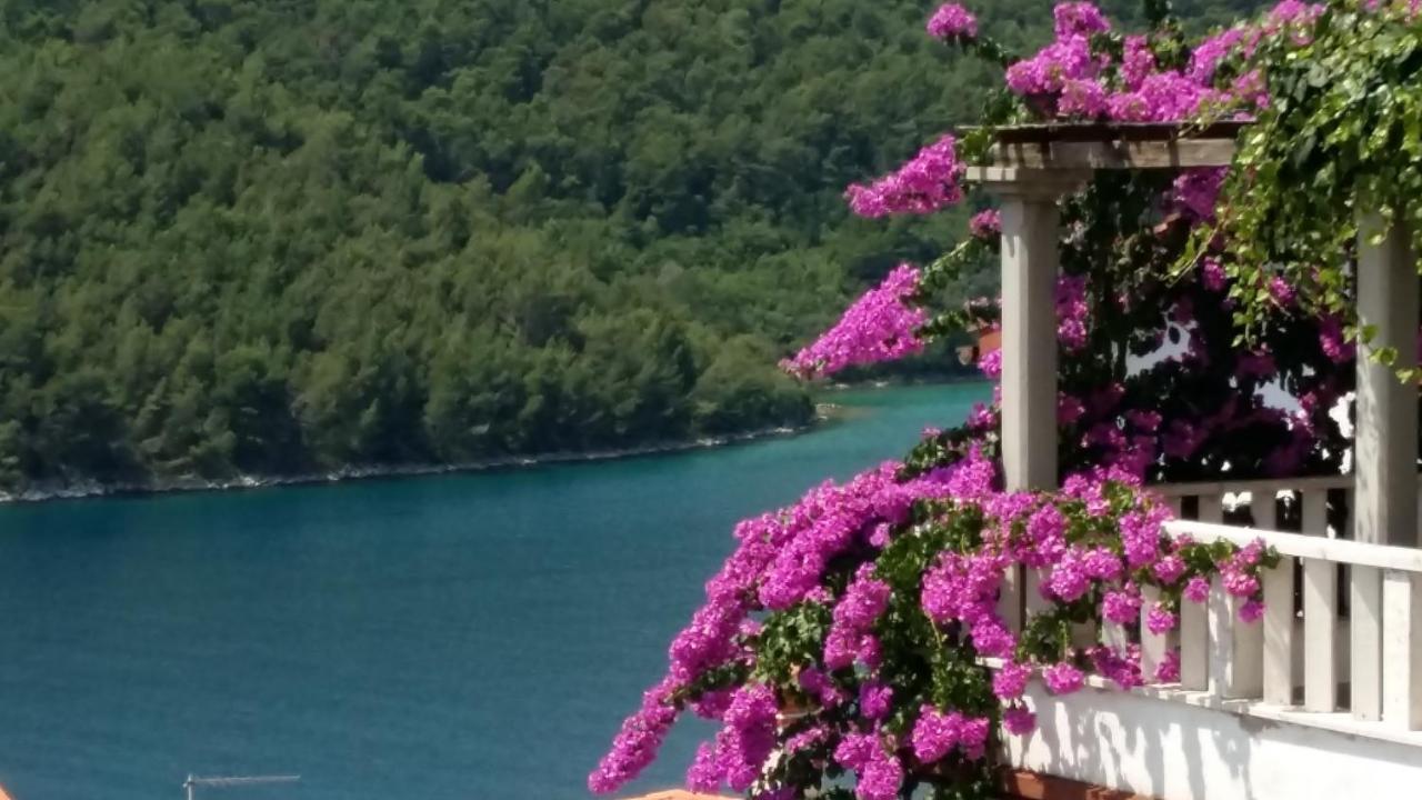 Villa Luma Apartments