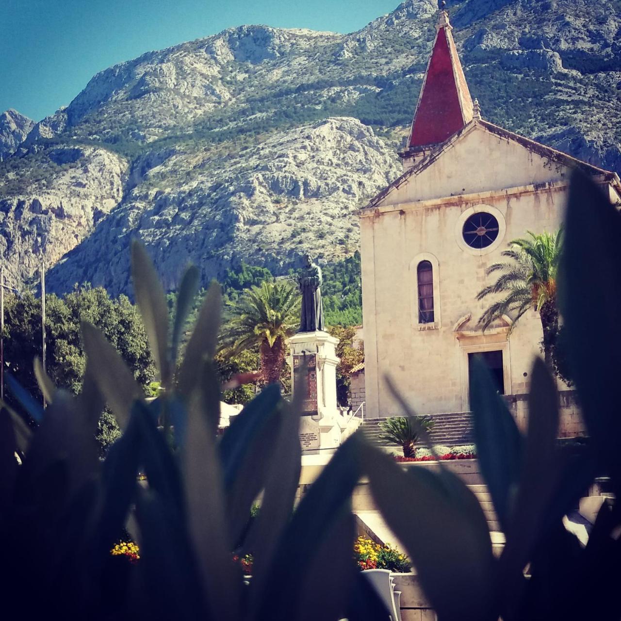 Apartments Srzic No1