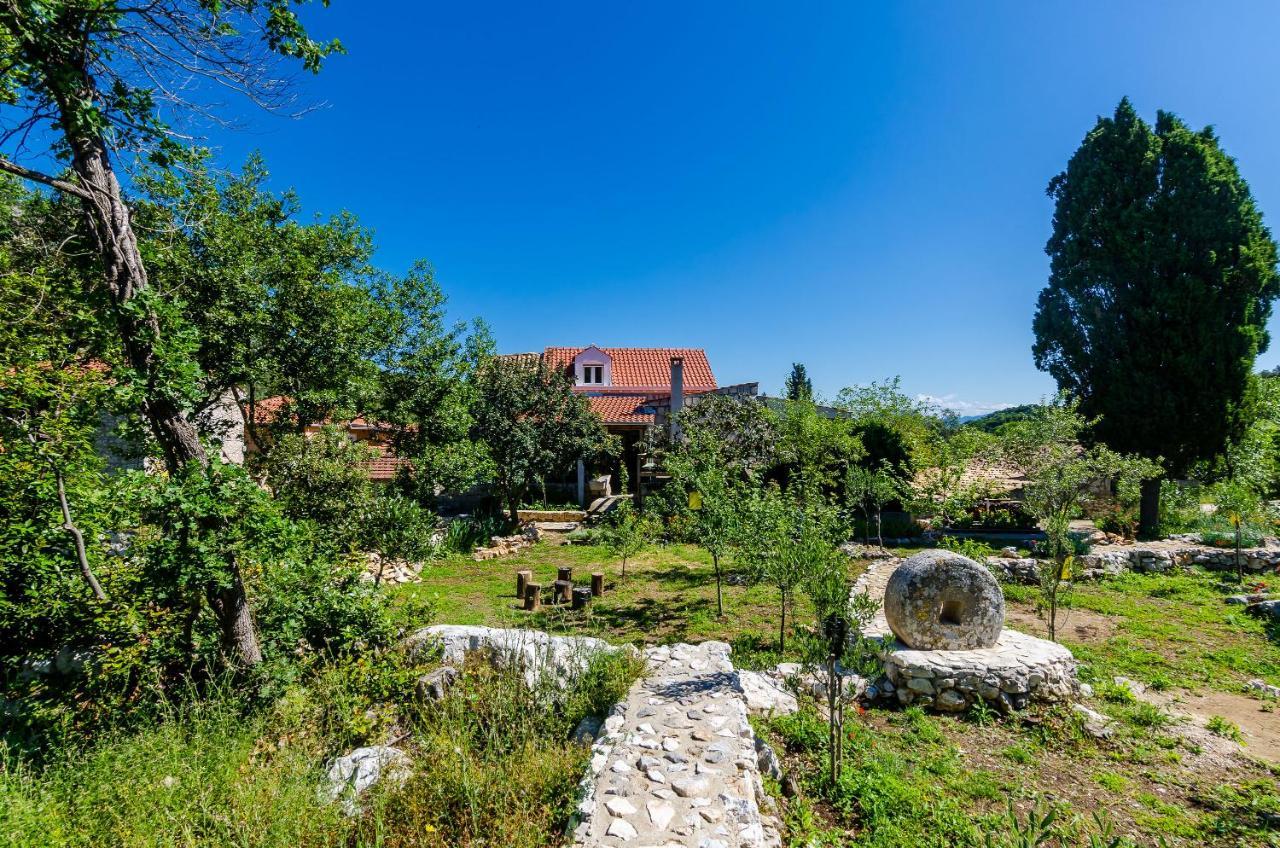 Apartments Korita