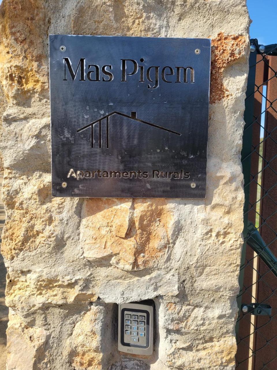 Mas Pigem