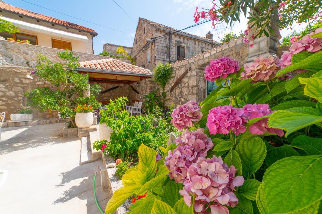 Apartman Anelina Old Town Cavtat