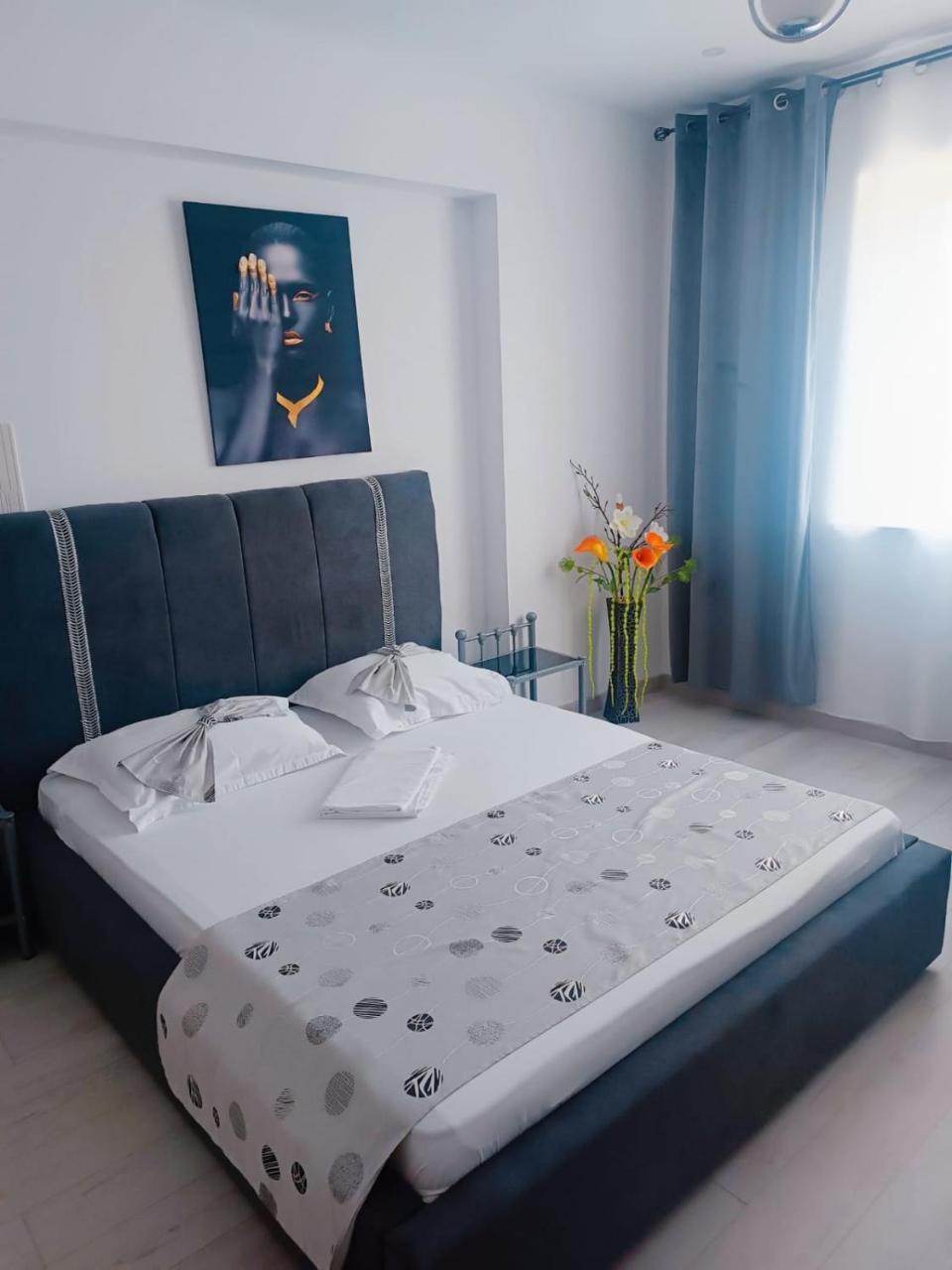 Eduard Elegance Studio 3