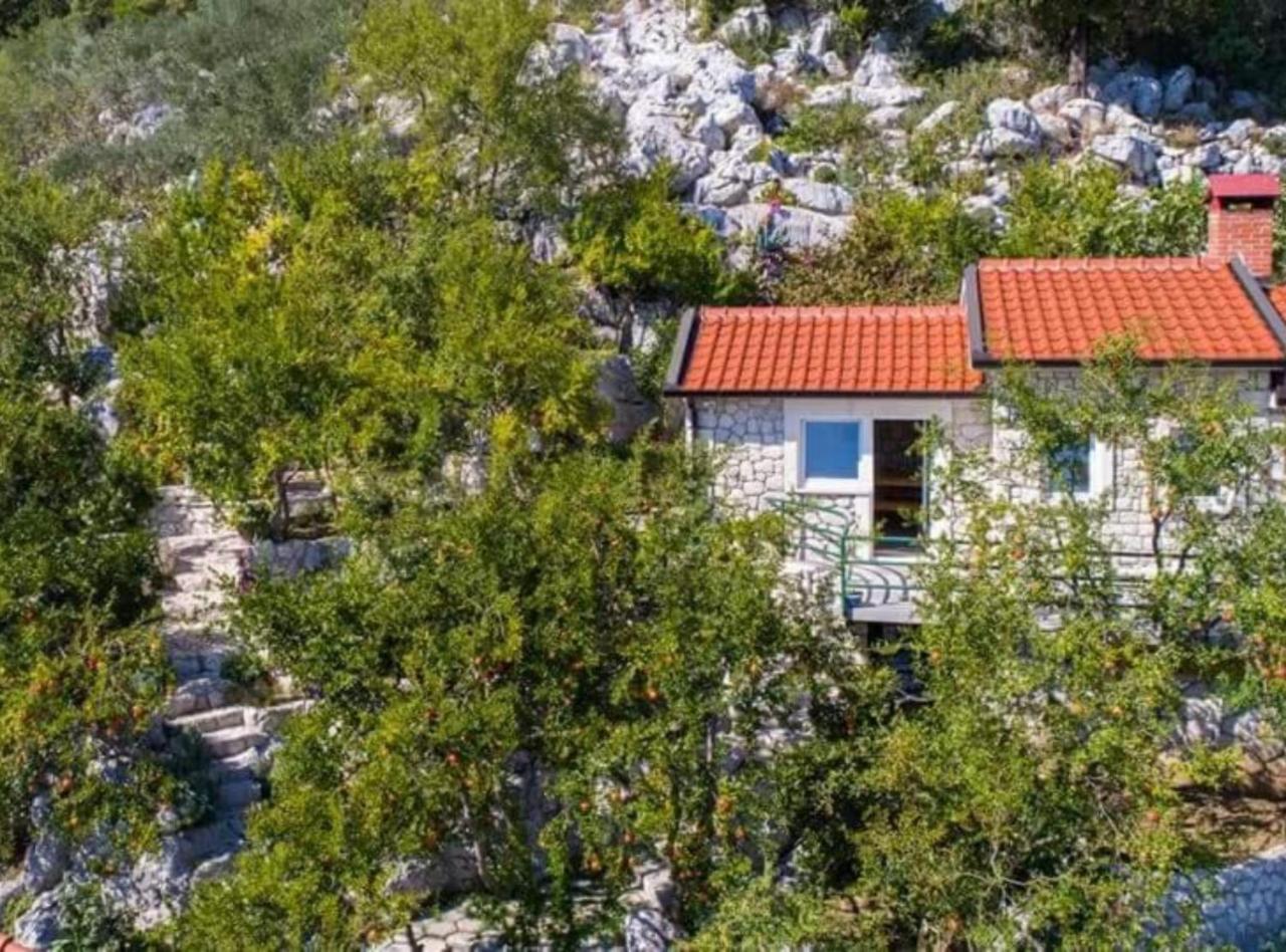 Apartments Galic