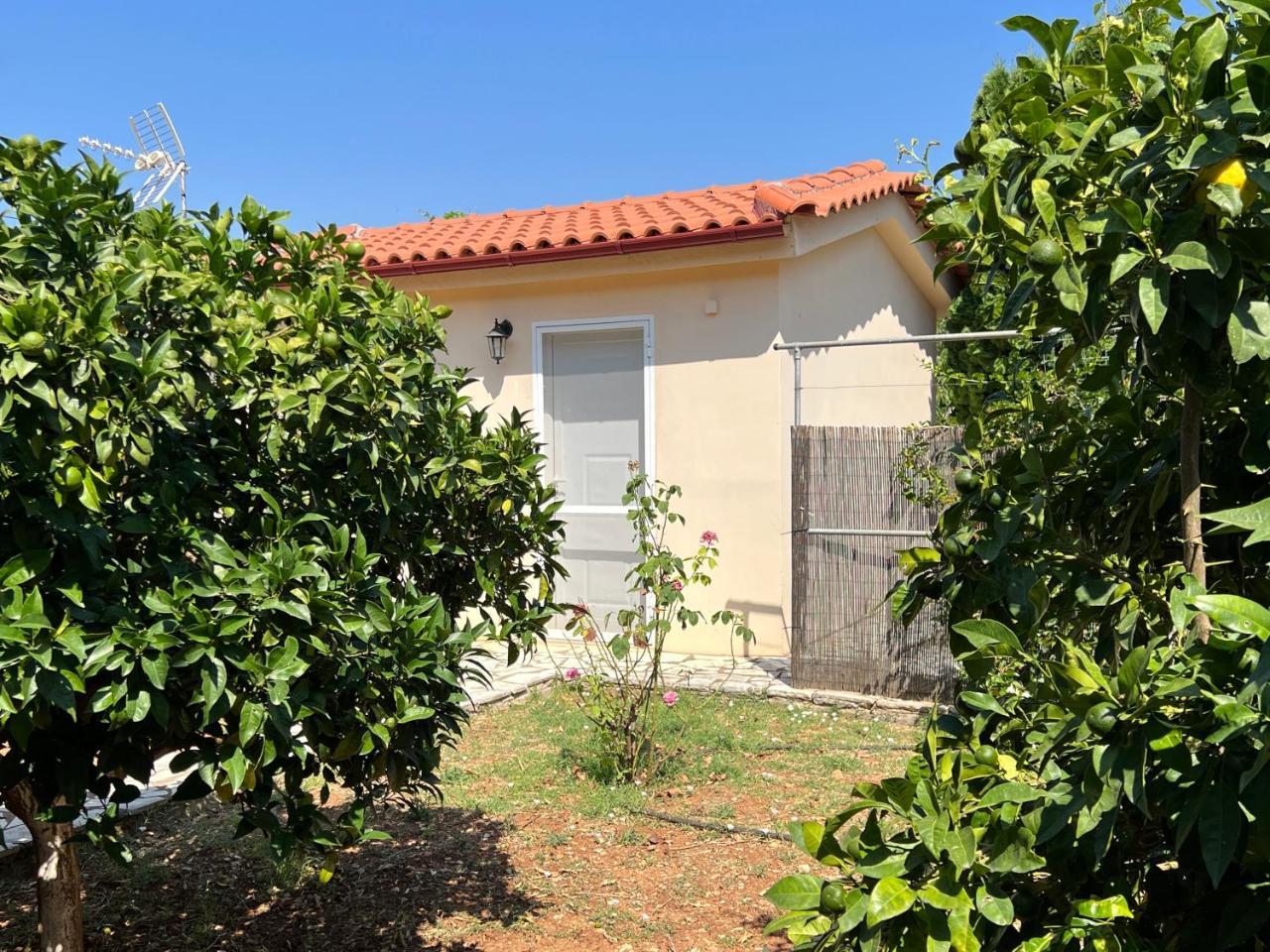 Villa Kostoula Mini House
