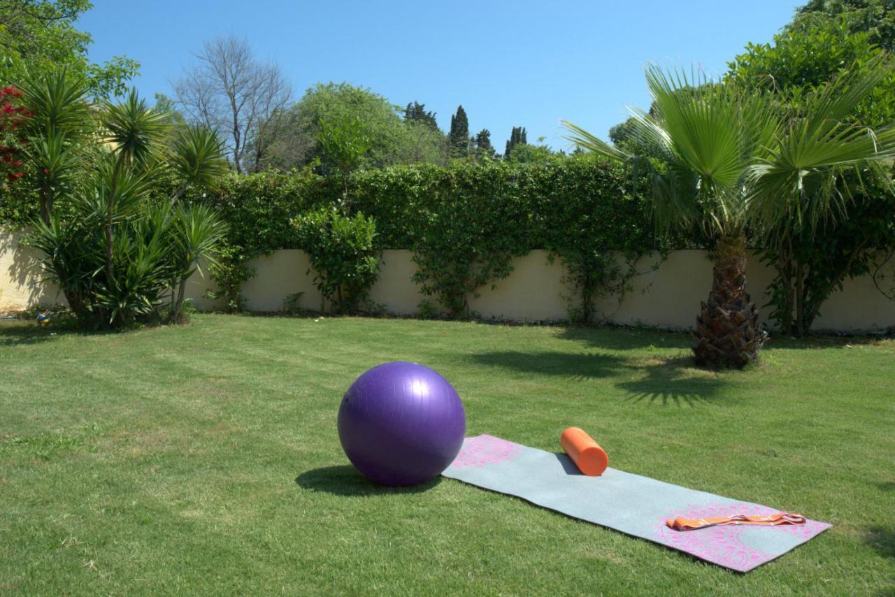 Ilias Apartments Ipsos