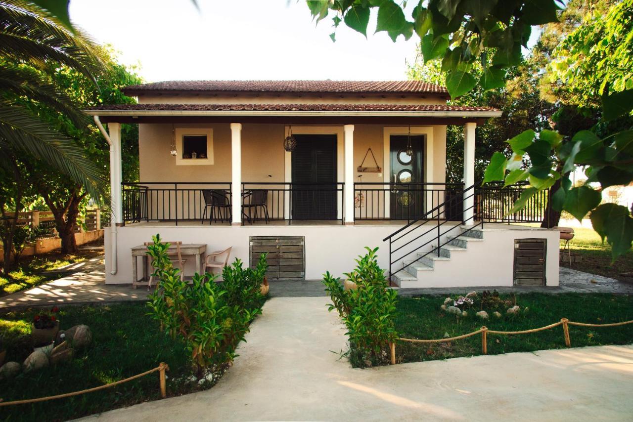 Ostrica Family House