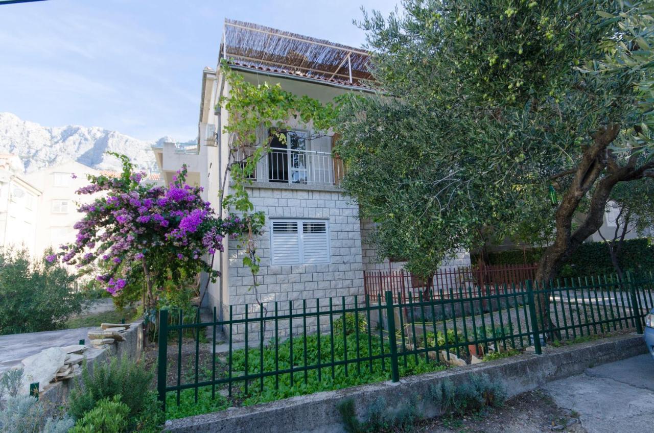 Apartments Jadro