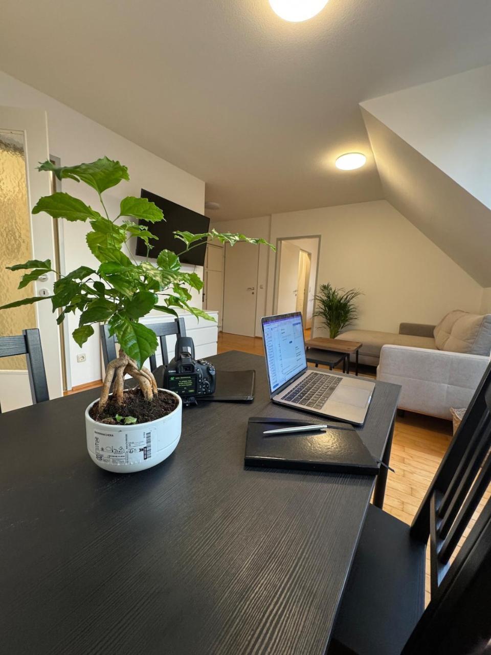 Top Floor Apartment Near Palace Schonbrunn