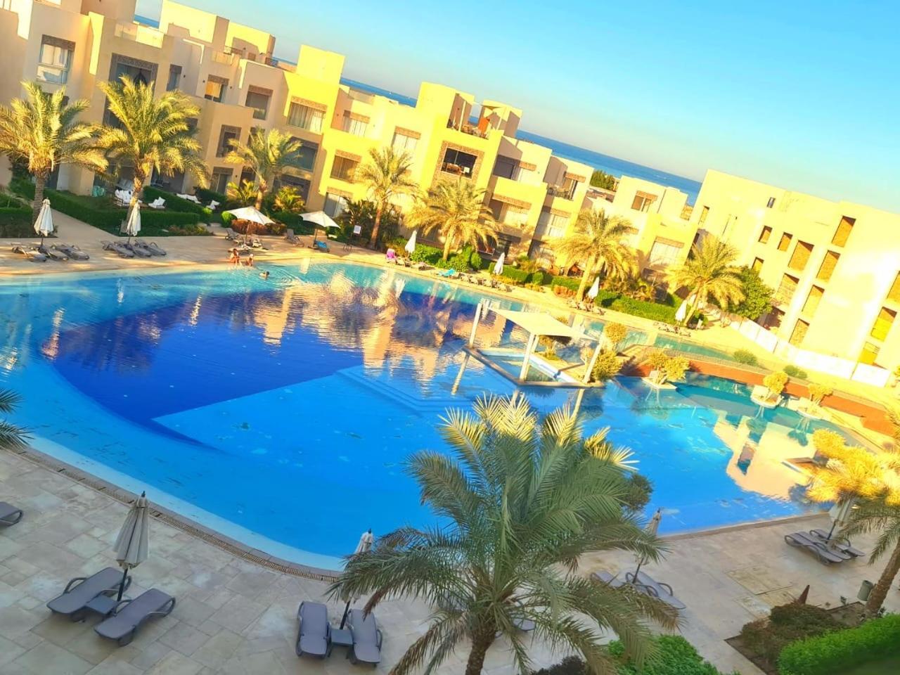 Mangrove Elgouna