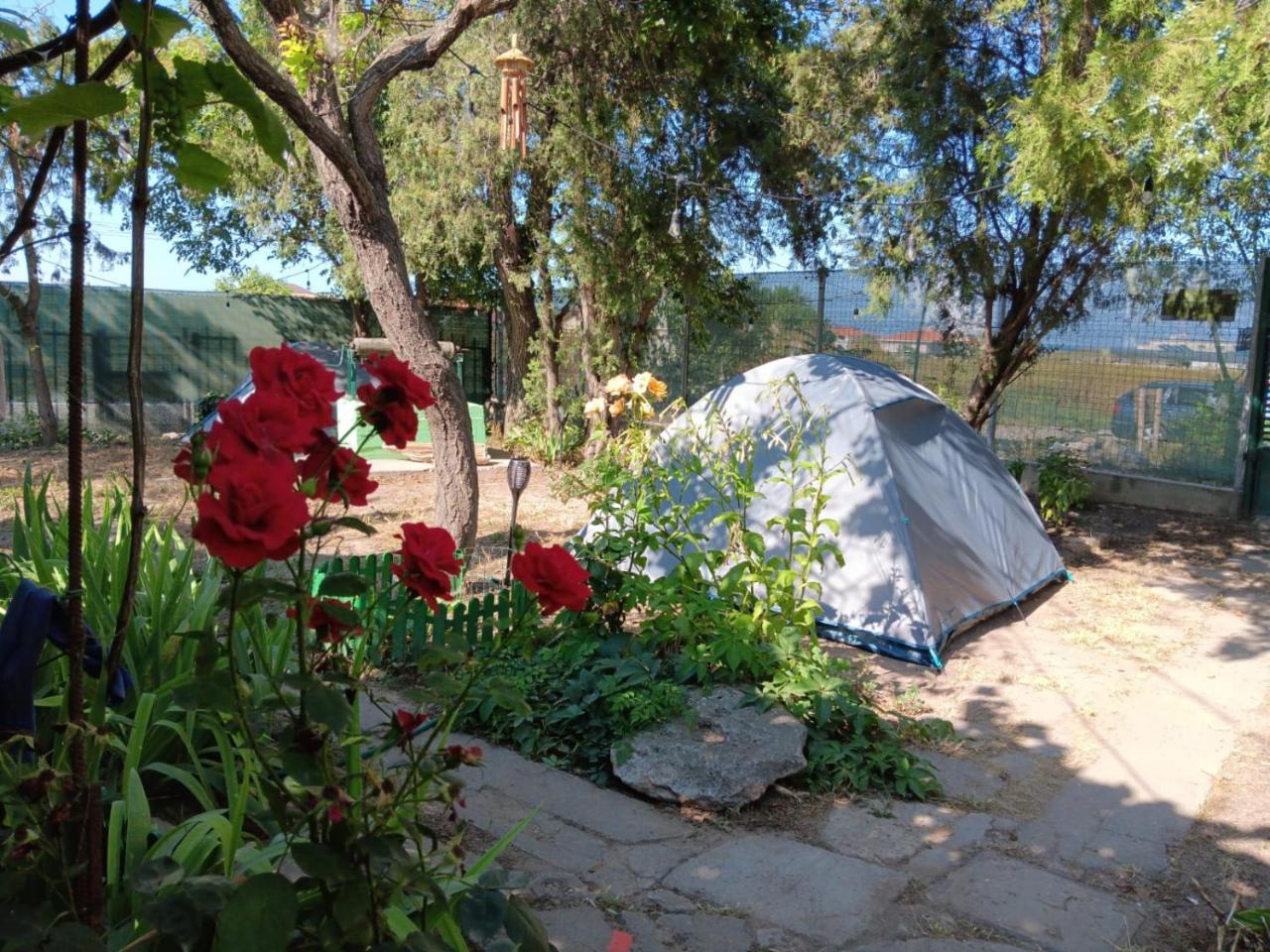 Camping Curtea Pescarusului