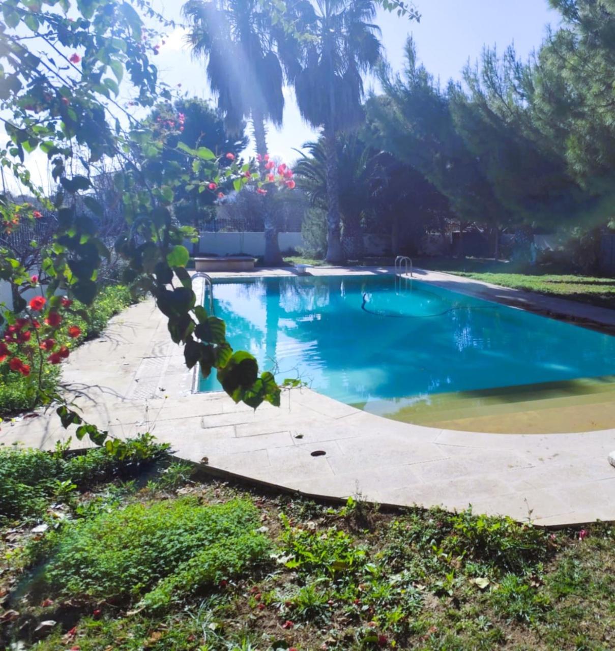 Silver Apartment With Swimming Pool