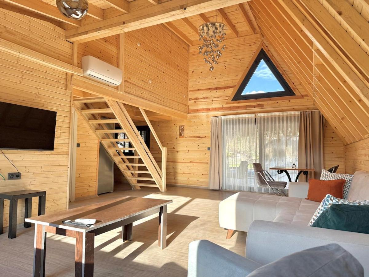 Villa With Hot Pool In Marmaris