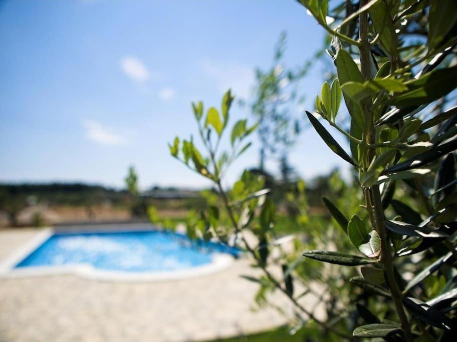 Villa Marceta Authentic Stay In Istria