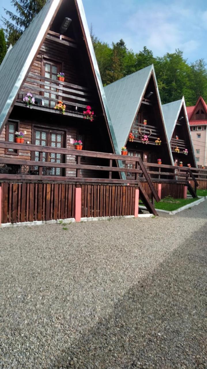 Cabane Sinaia
