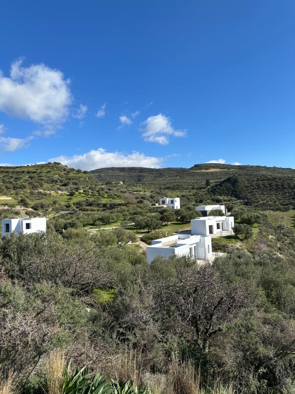 Rouvas Villas