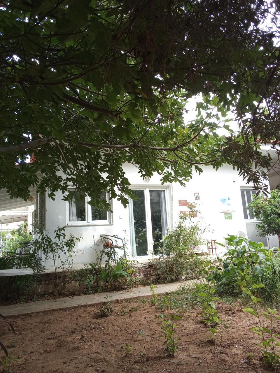 Smal Villa Loft Near The Beach