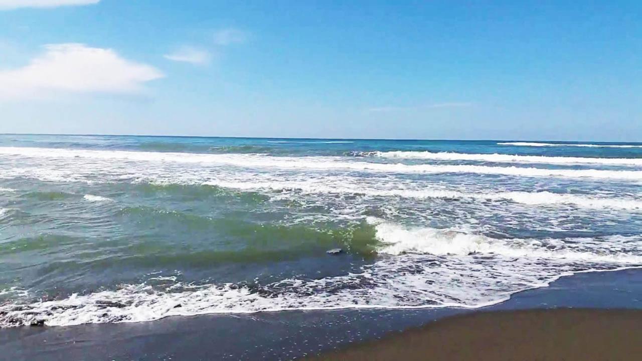 Sunny House Apartments Doni Stoj