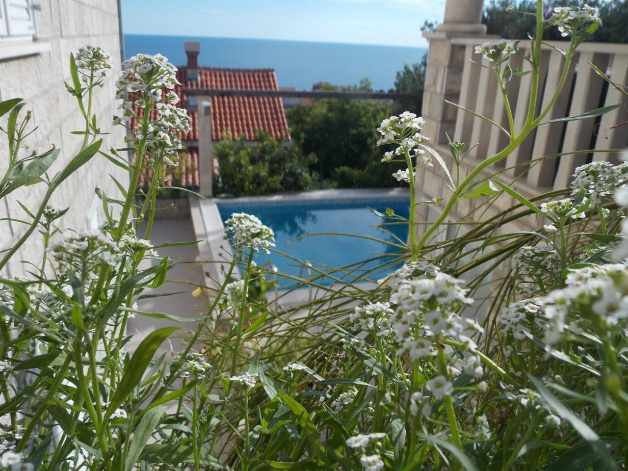 Villa Klaic Guesthouse Dubrovnik